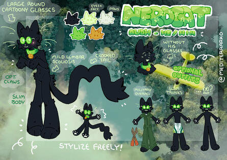 Nerdcat Nerdcat